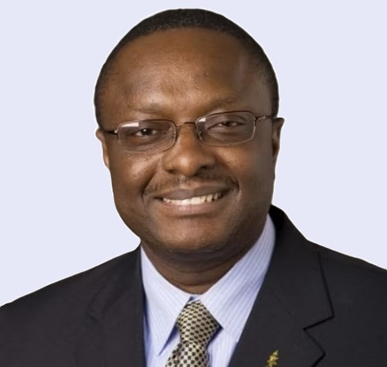 Prof. Chimay Anumba